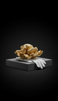 Champagne-Hued Packing Tissue and White Gloves Set